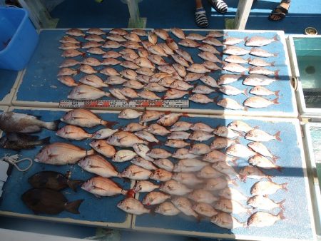 十八宝洋丸 釣果