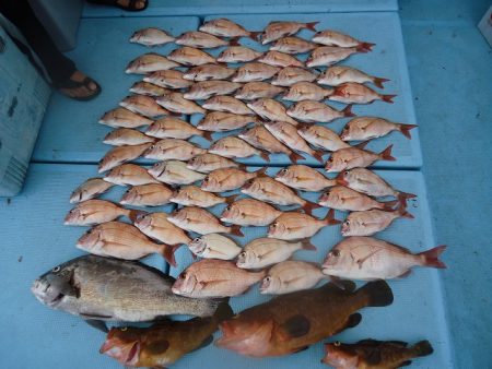 十八宝洋丸 釣果