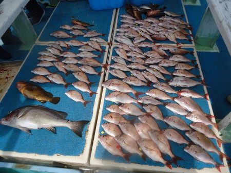 十八宝洋丸 釣果