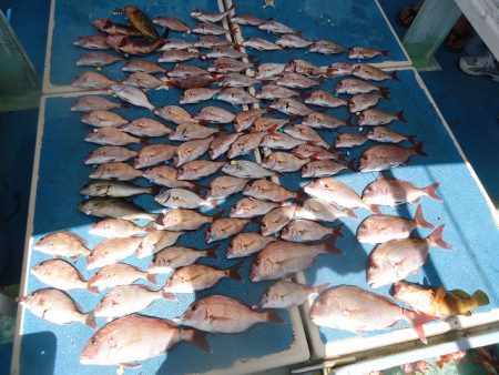 十八宝洋丸 釣果