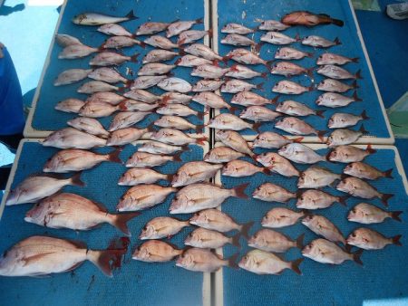 十八宝洋丸 釣果