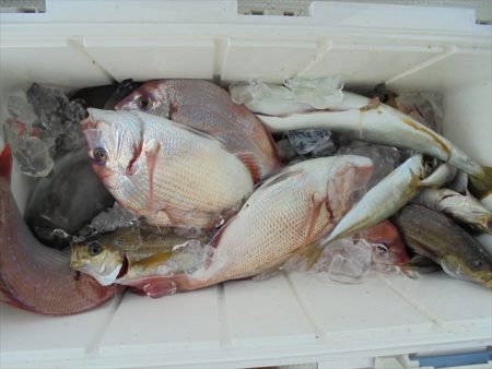 ＨＡＲＵＫＡ丸　はるかまる 釣果