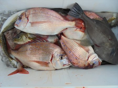 ＨＡＲＵＫＡ丸　はるかまる 釣果