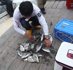 バラモン1号 釣果