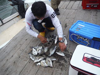 バラモン1号 釣果