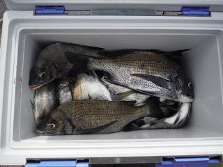 バラモン1号 釣果