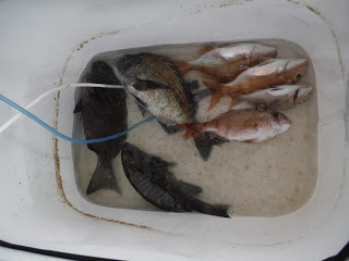 バラモン1号 釣果