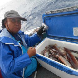 大進丸（愛知） 釣果