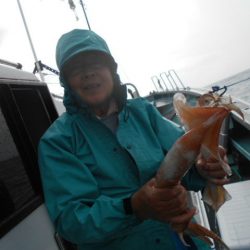 大進丸（愛知） 釣果