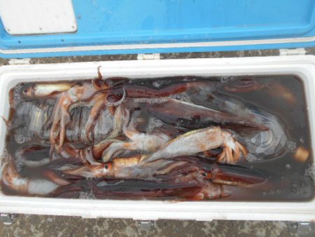 大進丸（愛知） 釣果