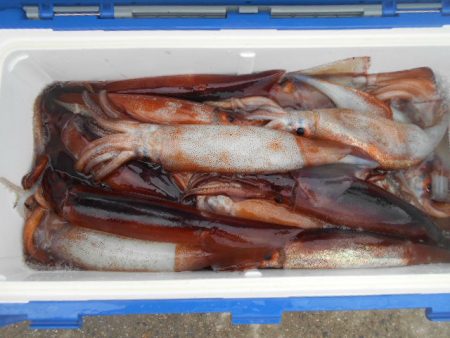 大進丸（愛知） 釣果