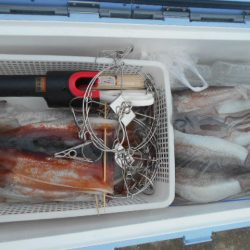 大進丸（愛知） 釣果