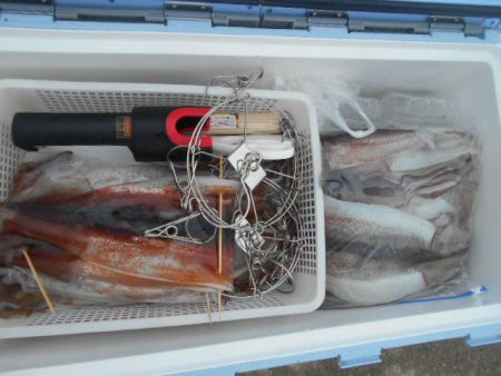 大進丸（愛知） 釣果