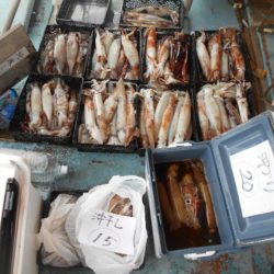 大進丸（愛知） 釣果