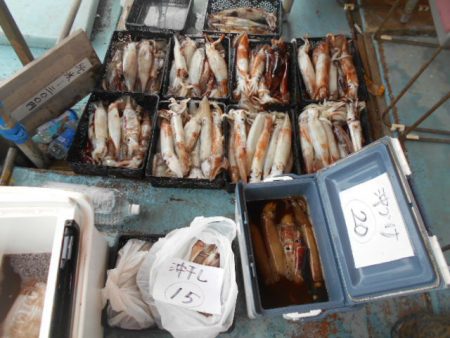 大進丸（愛知） 釣果