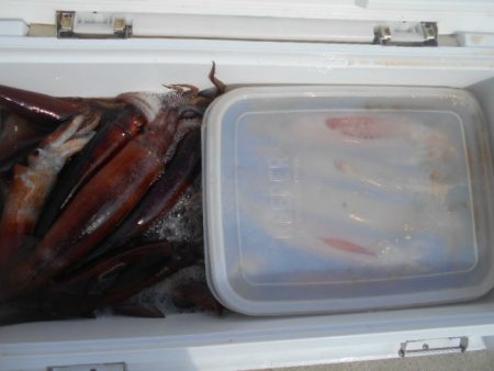 大進丸（愛知） 釣果