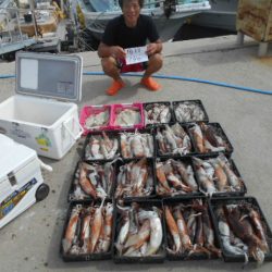 大進丸（愛知） 釣果