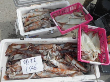 大進丸（愛知） 釣果