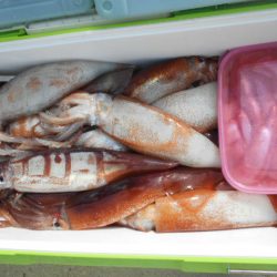 大進丸（愛知） 釣果