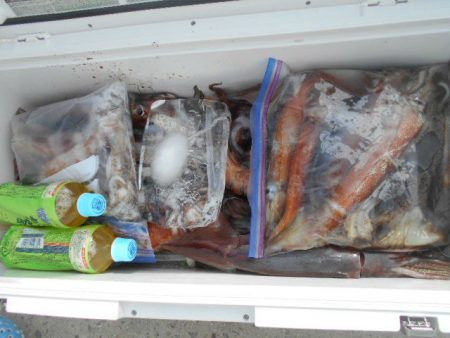 大進丸（愛知） 釣果