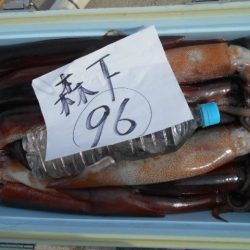 大進丸（愛知） 釣果