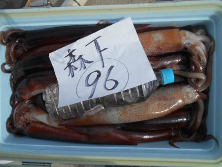 大進丸（愛知） 釣果
