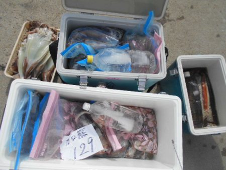 大進丸（愛知） 釣果