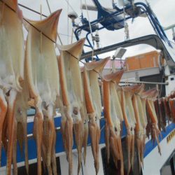 大進丸(愛知) 釣果