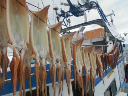 大進丸(愛知) 釣果