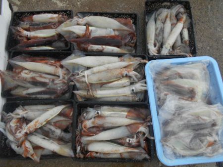 大進丸(愛知) 釣果