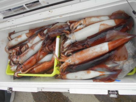 大進丸(愛知) 釣果