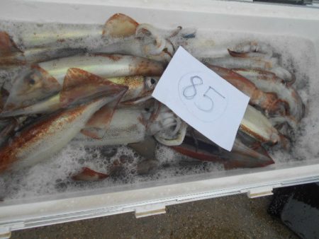 大進丸(愛知) 釣果