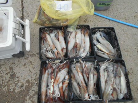 大進丸(愛知) 釣果