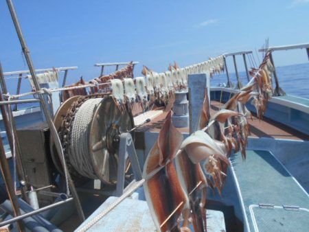 大進丸（愛知） 釣果