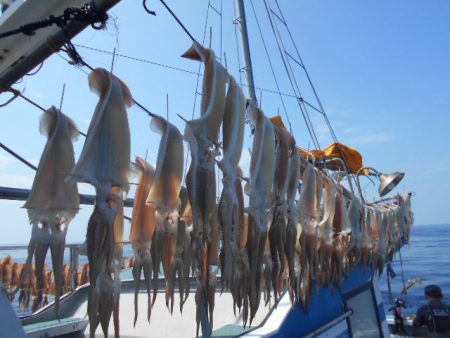 大進丸（愛知） 釣果
