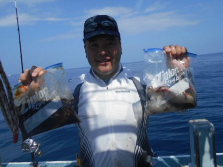 大進丸（愛知） 釣果