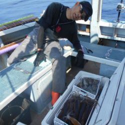 大進丸（愛知） 釣果