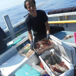 大進丸（愛知） 釣果