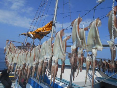 大進丸（愛知） 釣果