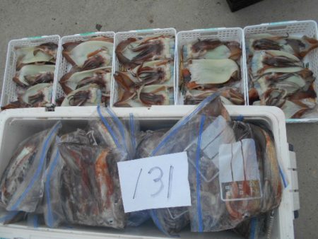 大進丸（愛知） 釣果