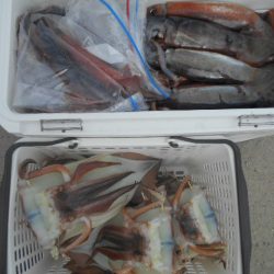 大進丸（愛知） 釣果