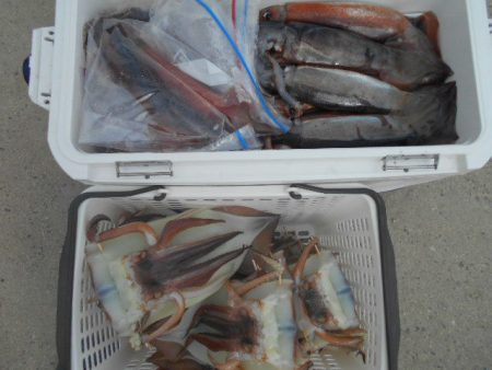 大進丸（愛知） 釣果