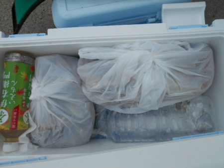 大進丸（愛知） 釣果