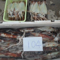 大進丸（愛知） 釣果