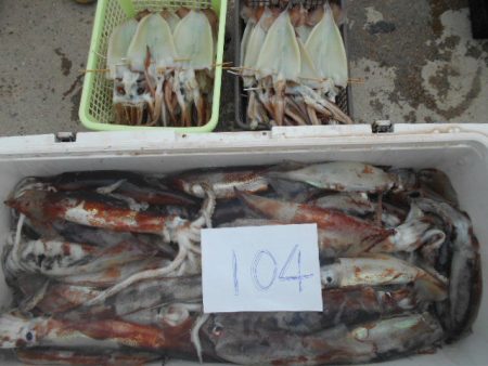 大進丸（愛知） 釣果