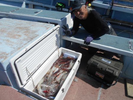 大進丸(愛知) 釣果