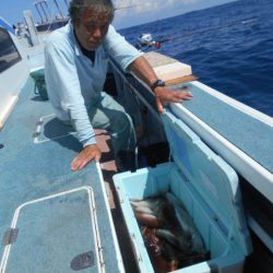 大進丸(愛知) 釣果