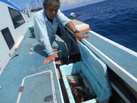 大進丸(愛知) 釣果