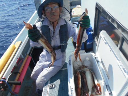 大進丸(愛知) 釣果