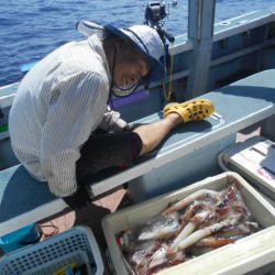 大進丸(愛知) 釣果